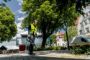 Afbeelding - https-www-ez-catalog-nl-Asset-3af558a363e2452e8e953b75faf1a663-ImageFullSize-0160700a-07-jpg